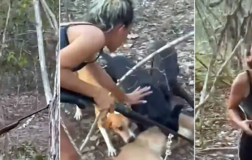  Mulher que matou onça-parda é do RJ e estava de férias no Piauí