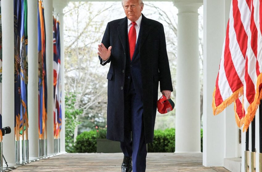  Anistia Internacional: efeito Trump coloca em risco bilhões de pessoas
