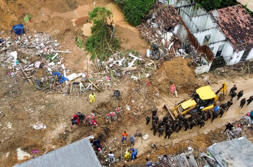  Para nordestinos, efeitos do clima foram mais severos em 2024