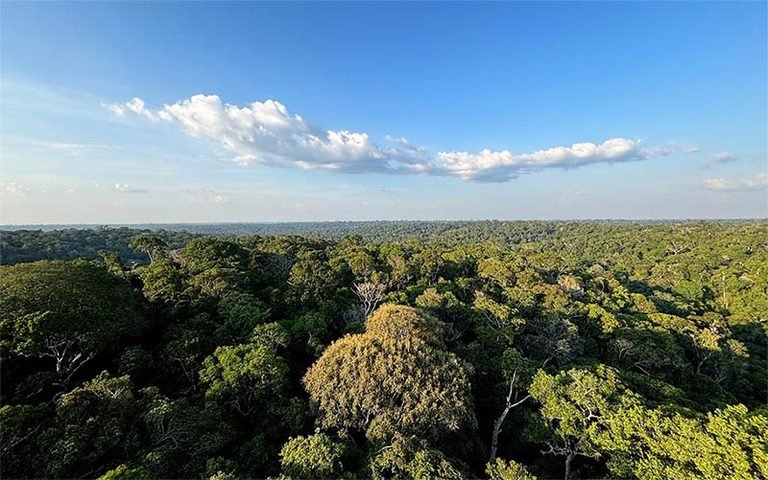  Plano Clima: Governo Federal lança consulta pública da Estratégia Nacional de Mitigação