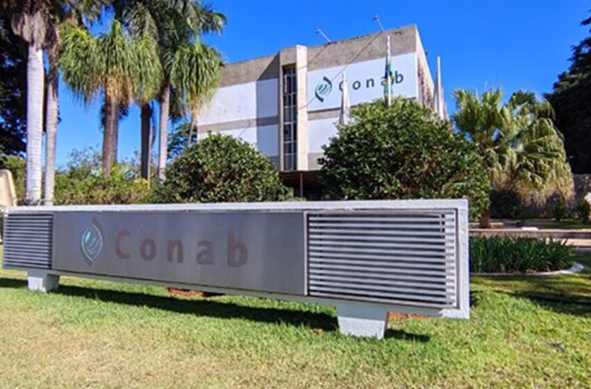  Inscrições para concurso público da Conab estão abertas até 15 de maio