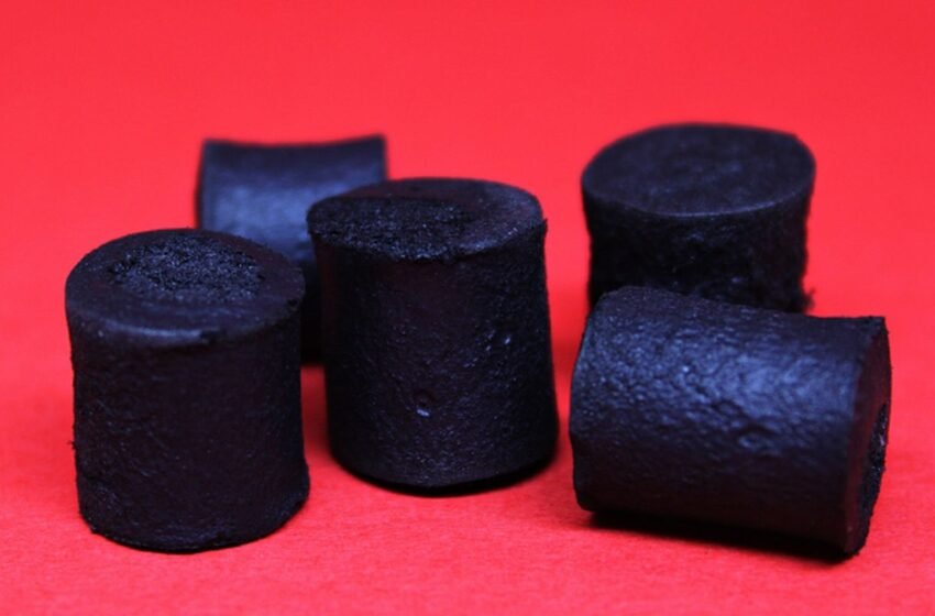  Bagaço de cana vira embalagem ecológica para equipamentos eletrônicos