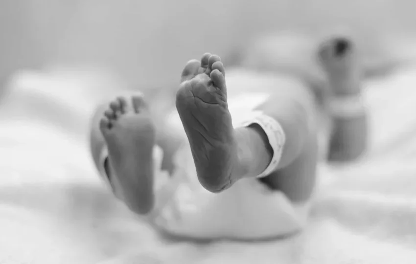  Criança que nascer em 2025 deve viver mais, ter menos irmãos e encontrar mais idosos