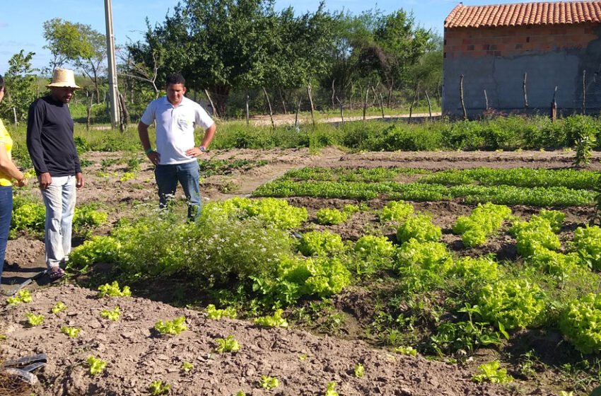  Garantia-Safra: agricultores familiares receberão o recurso a partir de abril