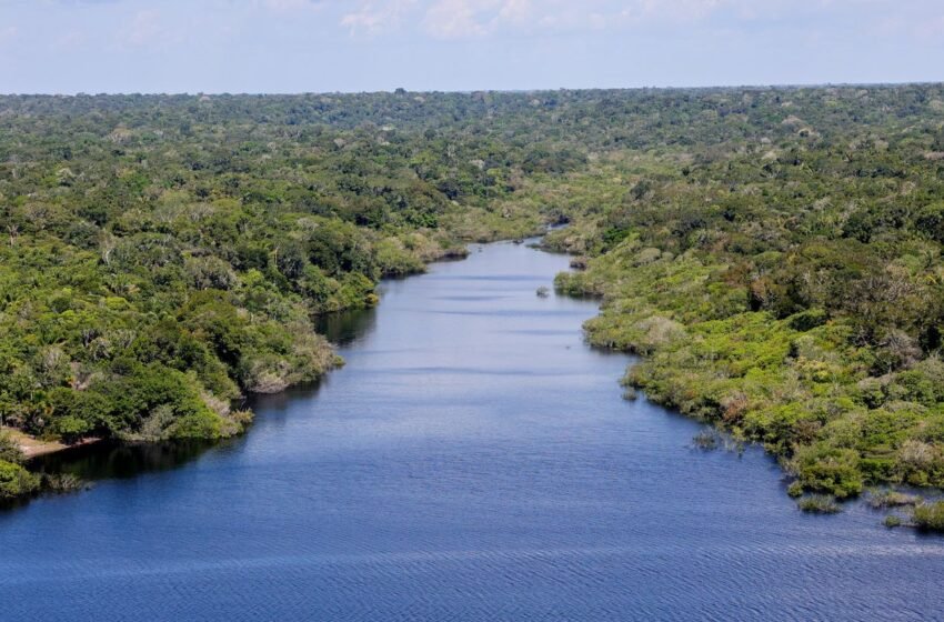  Fundo Amazônia financia reflorestamento em terras indígenas