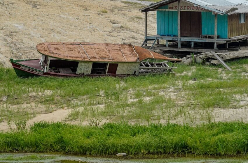  Fundo indígena premiará projetos para atenuar mudanças climáticas