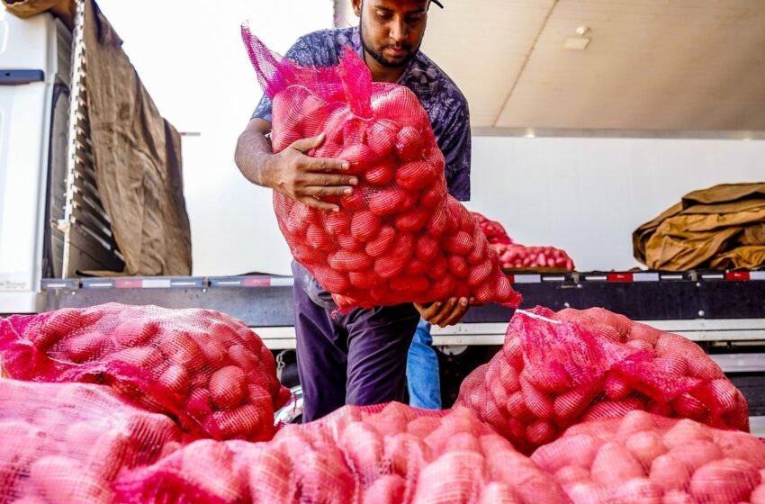  Preço da cesta de produtos da Páscoa tem queda de 0,4% no país