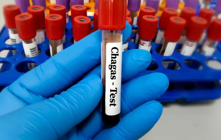  Brasil segue líder mundial em mortes por Chagas, apesar da queda de casos e óbitos