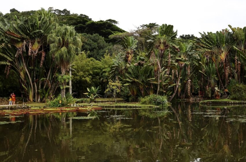 Concurso de Fotografia integra programação do Dia Mundial da Limpeza