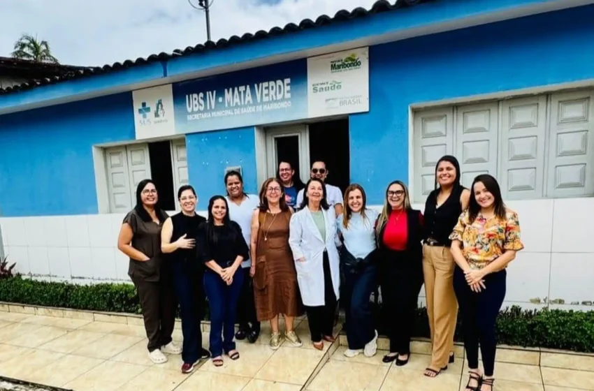 Cosems-AL e Hospital Sírio Libanês visitam municípios para discutir Projeto Saúde Redes – AMA