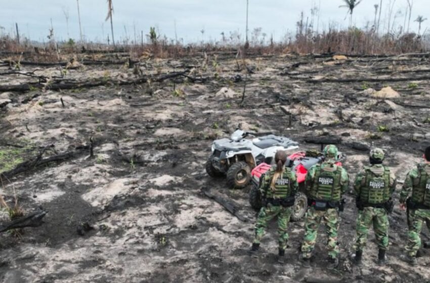  Desmatamento na Amazônia ameaça igarapés e segurança hídrica