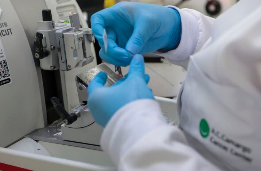  Cura de câncer de próstata pode chegar a até 98% 