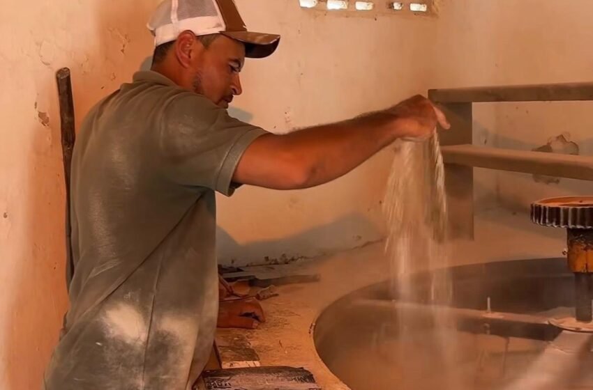 Em Mar Vermelho, Casa da Farinha e um sucesso na economia local beneficiando cerca de 200 agricultores – AMA