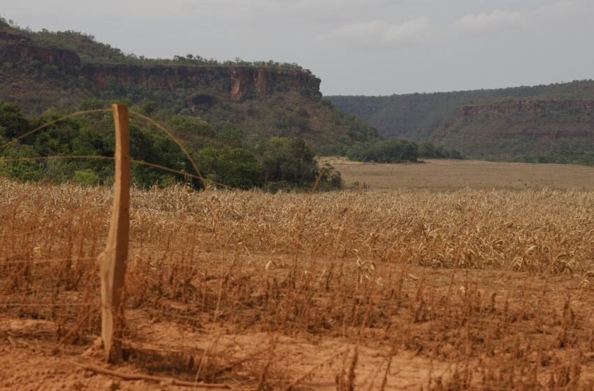  Fronteira Cerrado: acesso desigual ao Estado agrava conflitos agrários