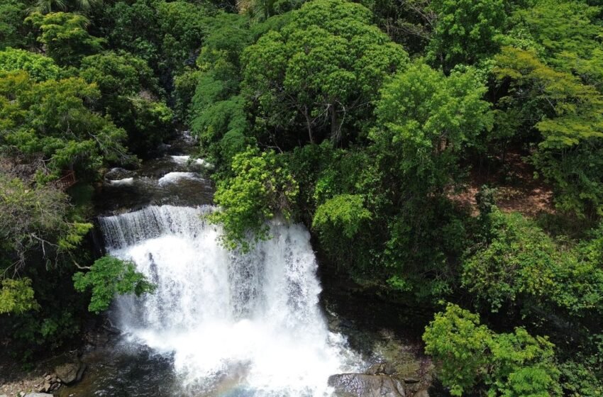  Fronteira Cerrado: ativistas pedem mesma prioridade dada à Amazônia
