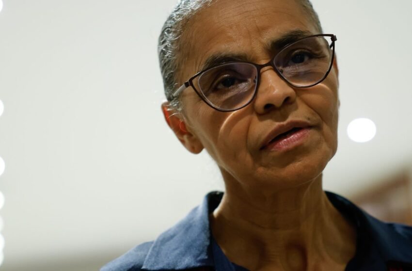  Acordo Mercosul-UE está alinhado a objetivos ambientais, diz ministra