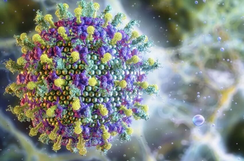  Ministério da Saúde diz que vírus Nipah não ameaça o Brasil