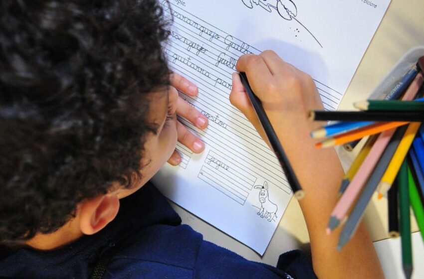  Inscrições para o Selo Alfabetização terminam nesta segunda-feira