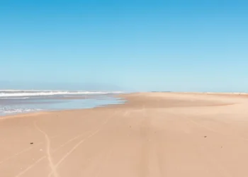 Em pré-Carnaval, litoral de SP tem 38 praias impróprias para banho