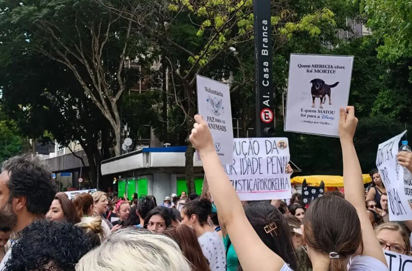  Centenas de pessoas em São Paulo pedem justiça pelo cão Orelha