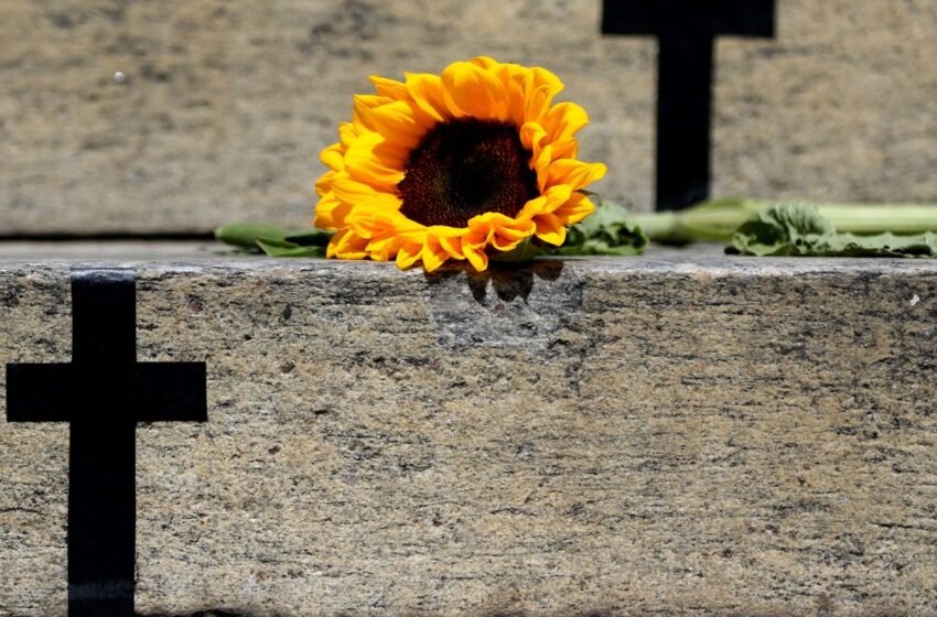  Caso de Itumbiara acende alerta para violência vicária; entenda