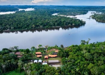 Fundo Amazônia aplica R$ 80 milhões para produção agrícola comunitária