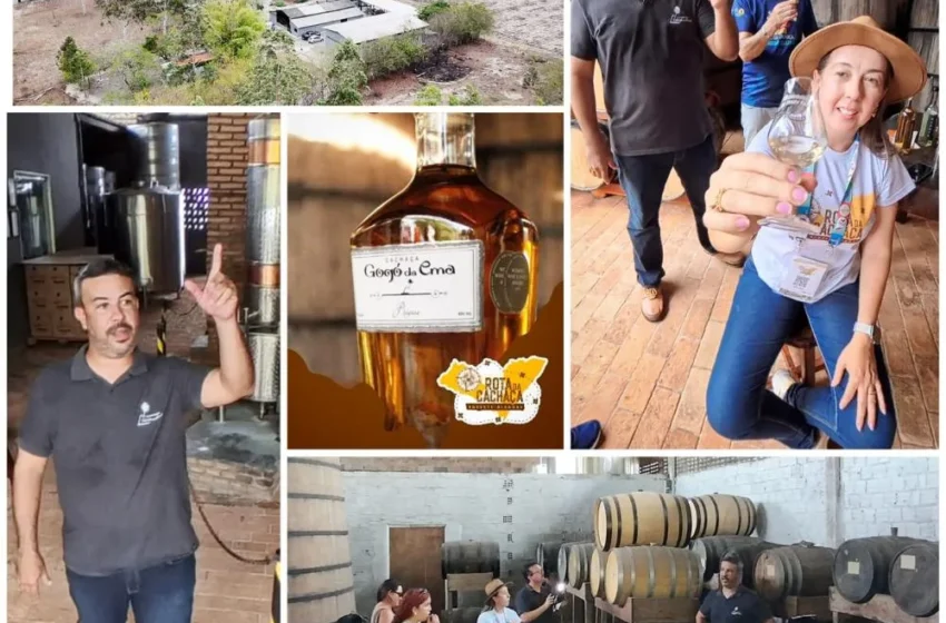  A cachaça de Quebrangulo que carrega a alma de Alagoas em cada gota – AMA