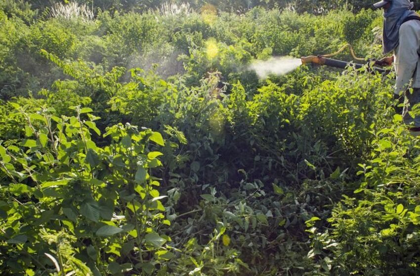  Comitê lista ações prioritárias para Programa de Redução de Agrotóxico