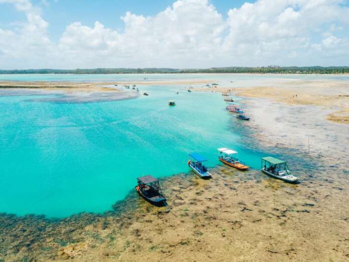 Mistério no Litoral: Trabalhadores encontram fragmentos ósseos Praia do Patacho