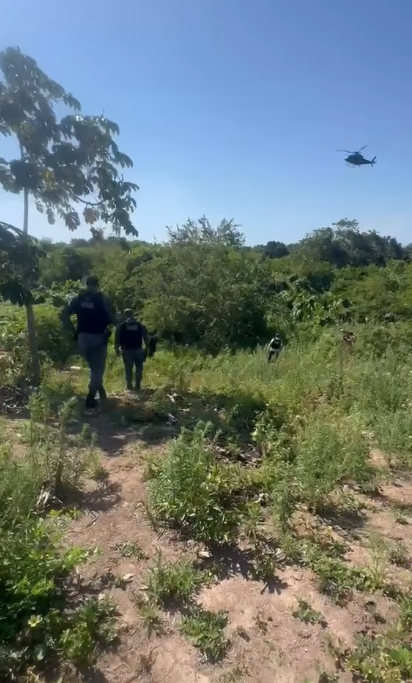 PC realiza operação de saturação em Marechal Deodoro