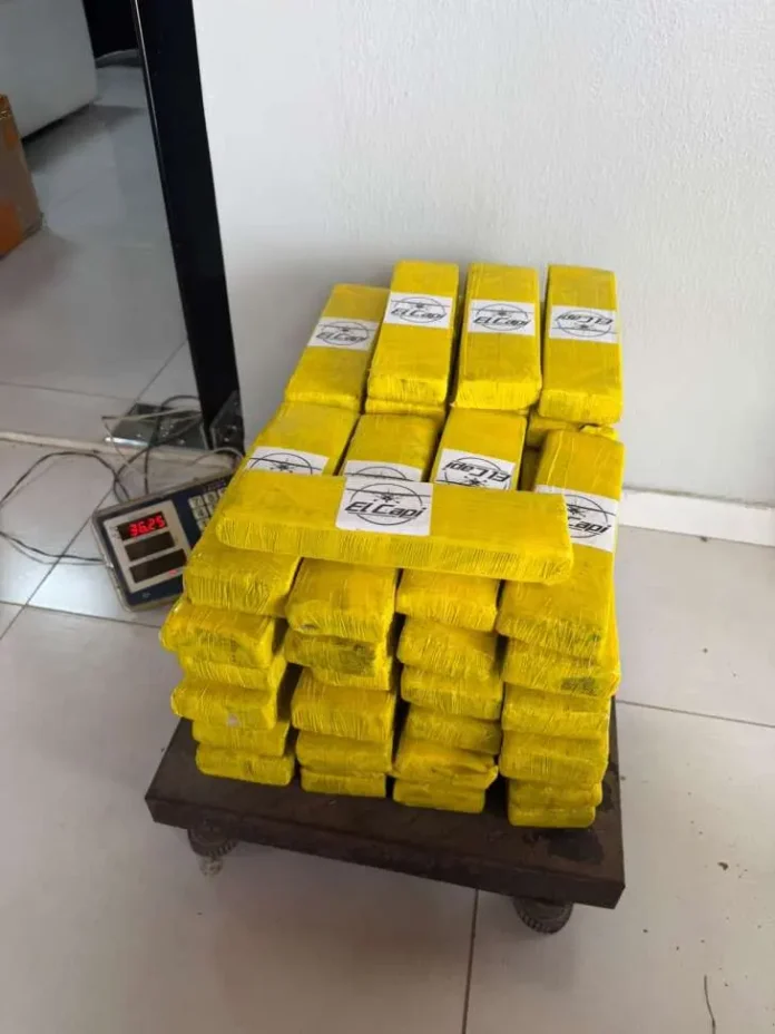 Polícia Fazendária participa de ação que apreende 75 kg de drogas e mil cigarros eletrônicos em Arapiraca
