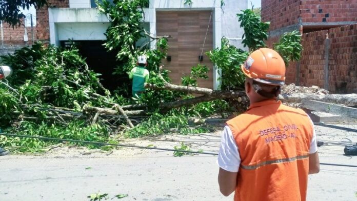 Ventos fortes provocam danos em estrutura esportiva e queda de árvores em Maceió